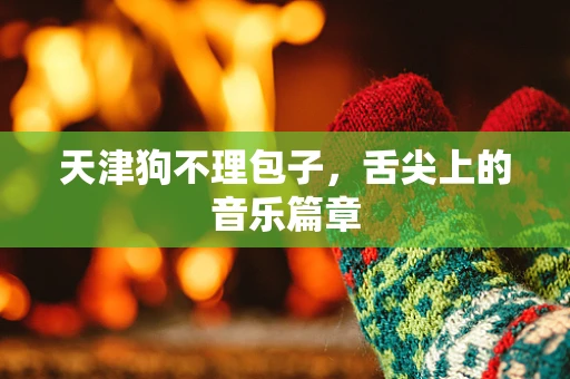 天津狗不理包子，舌尖上的音乐篇章