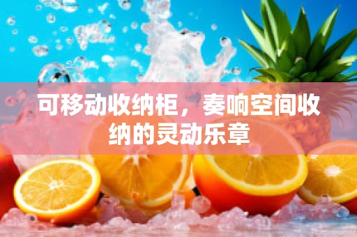 可移动收纳柜，奏响空间收纳的灵动乐章