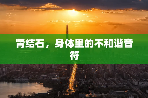 肾结石，身体里的不和谐音符