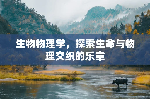 生物物理学，探索生命与物理交织的乐章