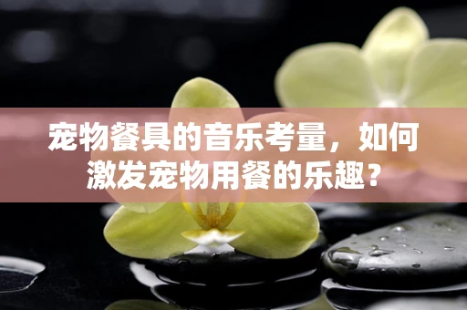 宠物餐具的音乐考量，如何激发宠物用餐的乐趣？