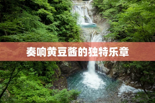 奏响黄豆酱的独特乐章