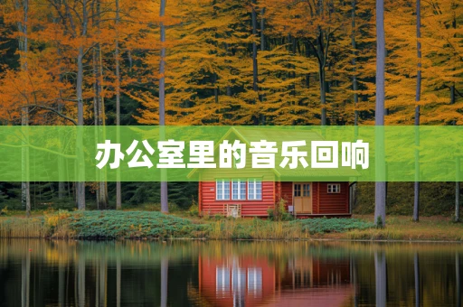 办公室里的音乐回响