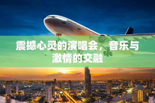 震撼心灵的演唱会，音乐与激情的交融