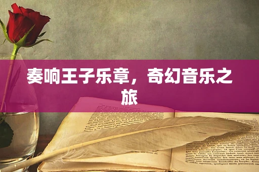 奏响王子乐章，奇幻音乐之旅