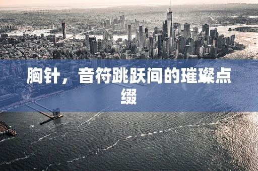 胸针，音符跳跃间的璀璨点缀