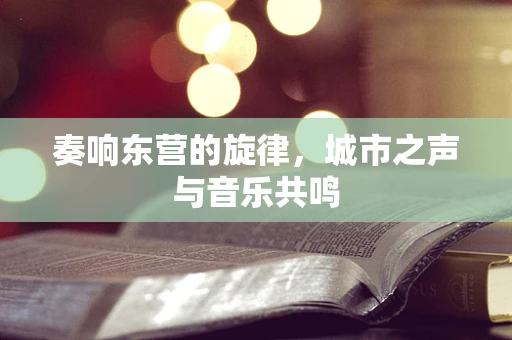 奏响东营的旋律，城市之声与音乐共鸣