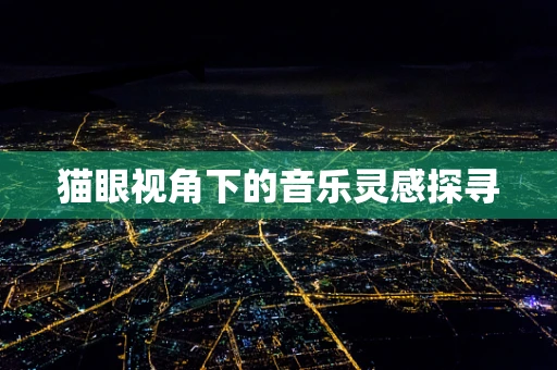 猫眼视角下的音乐灵感探寻