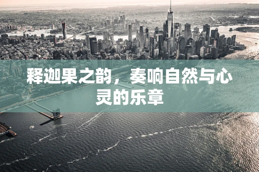 释迦果之韵，奏响自然与心灵的乐章