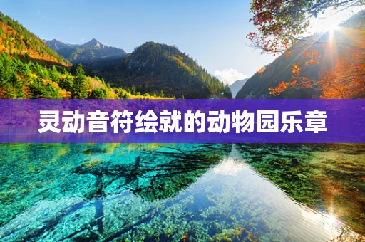 灵动音符绘就的动物园乐章
