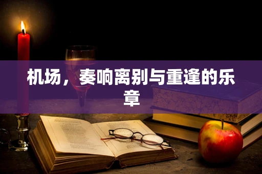 机场，奏响离别与重逢的乐章