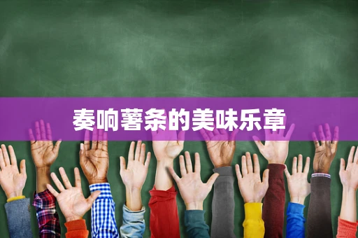 奏响薯条的美味乐章