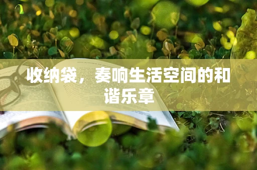 收纳袋，奏响生活空间的和谐乐章