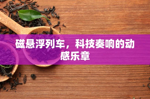 磁悬浮列车，科技奏响的动感乐章