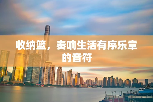 收纳篮，奏响生活有序乐章的音符