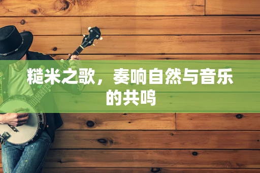 糙米之歌，奏响自然与音乐的共鸣