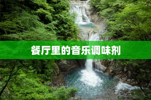 餐厅里的音乐调味剂