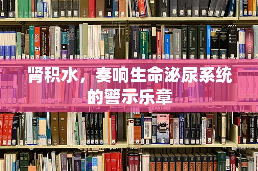 肾积水，奏响生命泌尿系统的警示乐章