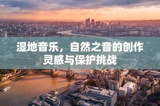 湿地音乐，自然之音的创作灵感与保护挑战