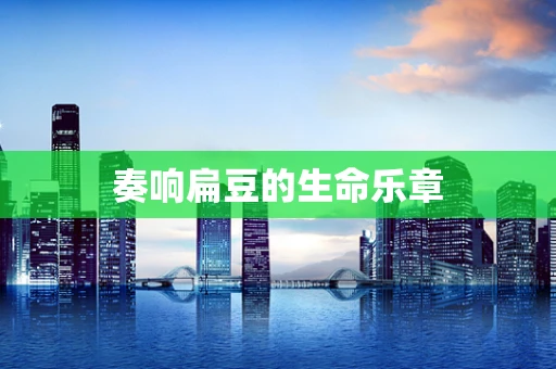 奏响扁豆的生命乐章