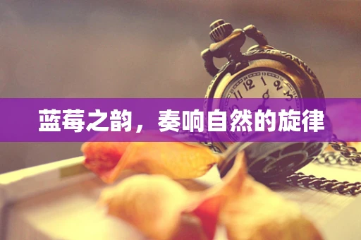蓝莓之韵，奏响自然的旋律