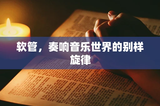 软管，奏响音乐世界的别样旋律