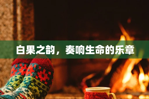 白果之韵，奏响生命的乐章
