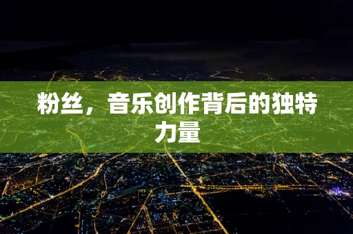 粉丝，音乐创作背后的独特力量
