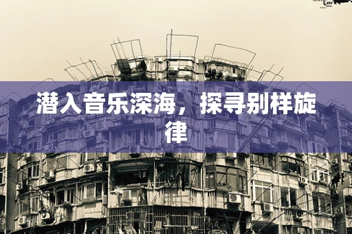 潜入音乐深海，探寻别样旋律