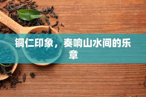 铜仁印象，奏响山水间的乐章