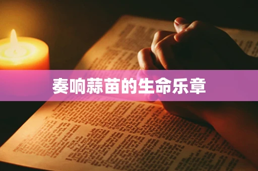 奏响蒜苗的生命乐章