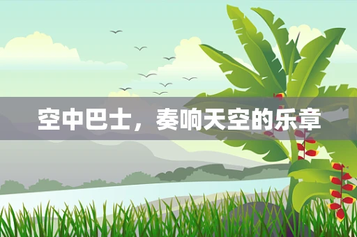 空中巴士，奏响天空的乐章