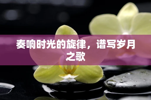 奏响时光的旋律，谱写岁月之歌
