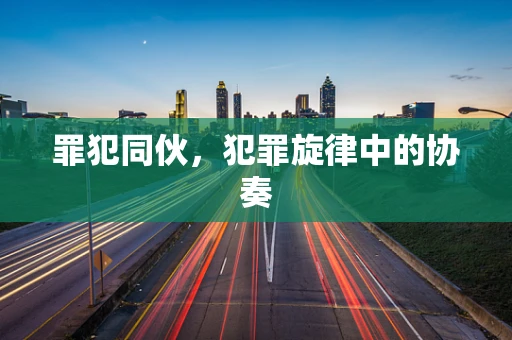 罪犯同伙，犯罪旋律中的协奏