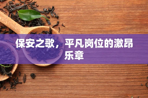 保安之歌，平凡岗位的激昂乐章