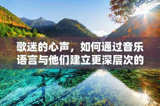 歌迷的心声，如何通过音乐语言与他们建立更深层次的情感连接？