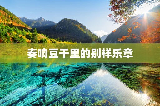 奏响豆干里的别样乐章
