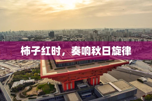 柿子红时，奏响秋日旋律