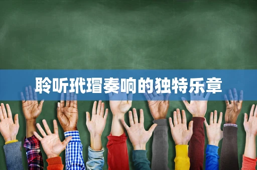 聆听玳瑁奏响的独特乐章