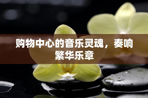 购物中心的音乐灵魂，奏响繁华乐章