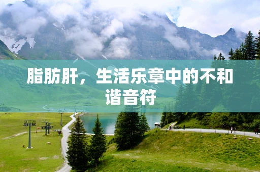 脂肪肝，生活乐章中的不和谐音符