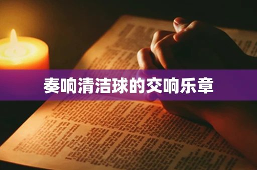 奏响清洁球的交响乐章