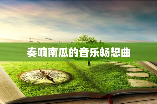 奏响南瓜的音乐畅想曲