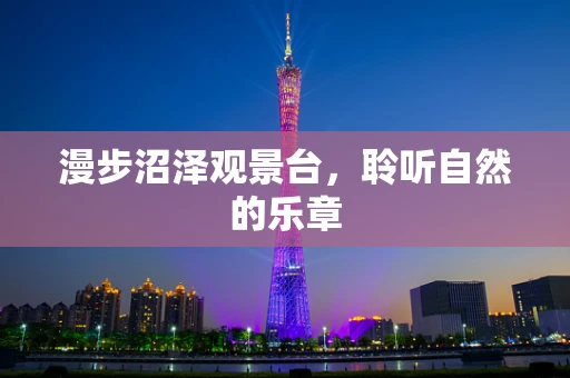 漫步沼泽观景台，聆听自然的乐章