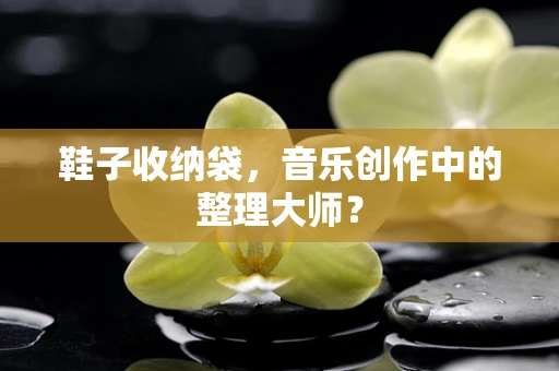 鞋子收纳袋，音乐创作中的整理大师？
