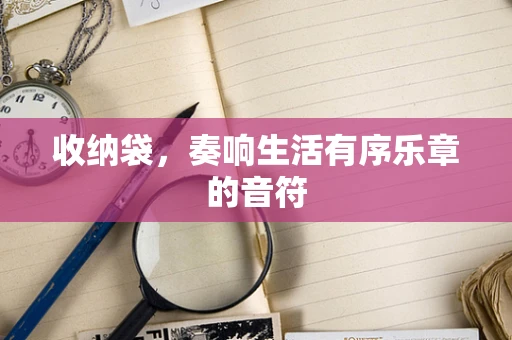 收纳袋，奏响生活有序乐章的音符