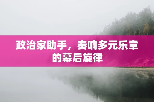 政治家助手，奏响多元乐章的幕后旋律