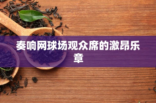 奏响网球场观众席的激昂乐章