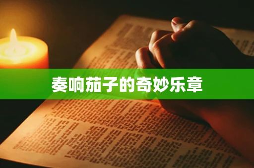 奏响茄子的奇妙乐章