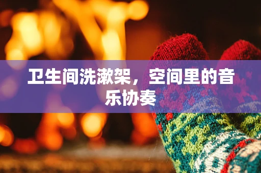 卫生间洗漱架，空间里的音乐协奏